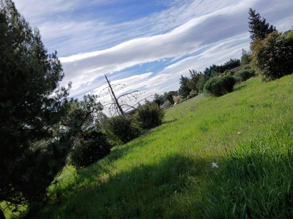 Terrain à SAINT-JEAN-DE-FOS