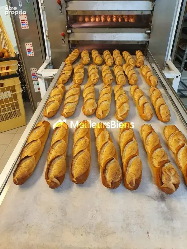 Boulangerie-pâtisserie avec laboratoire - photo 6