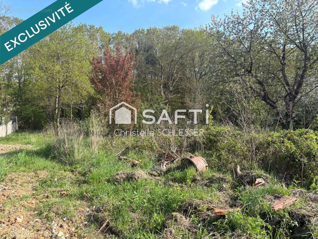 Photo 6 - Terrain à SAINT-NICOLAS-DE-PORT