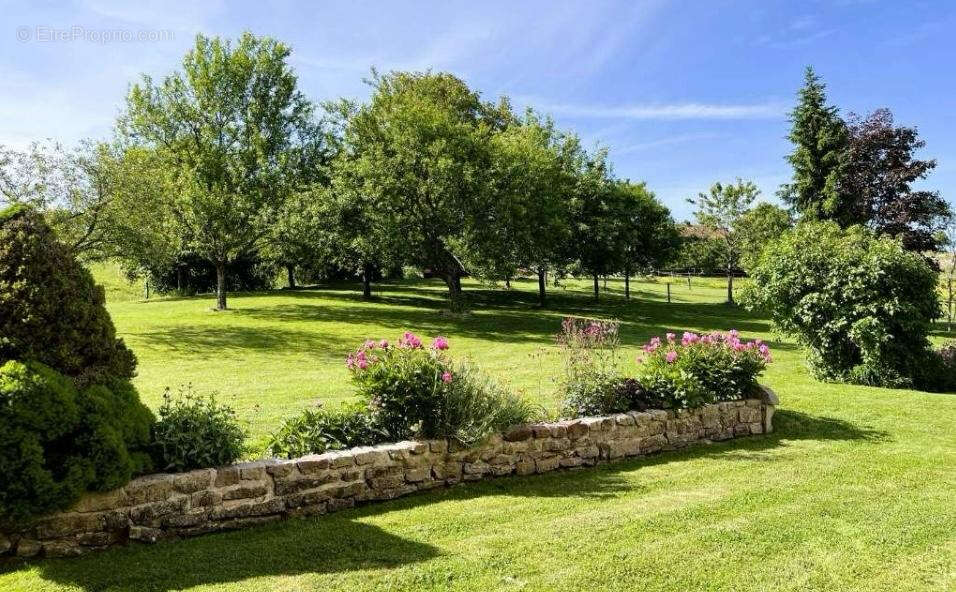 Maison à VILLE-SUR-ILLON