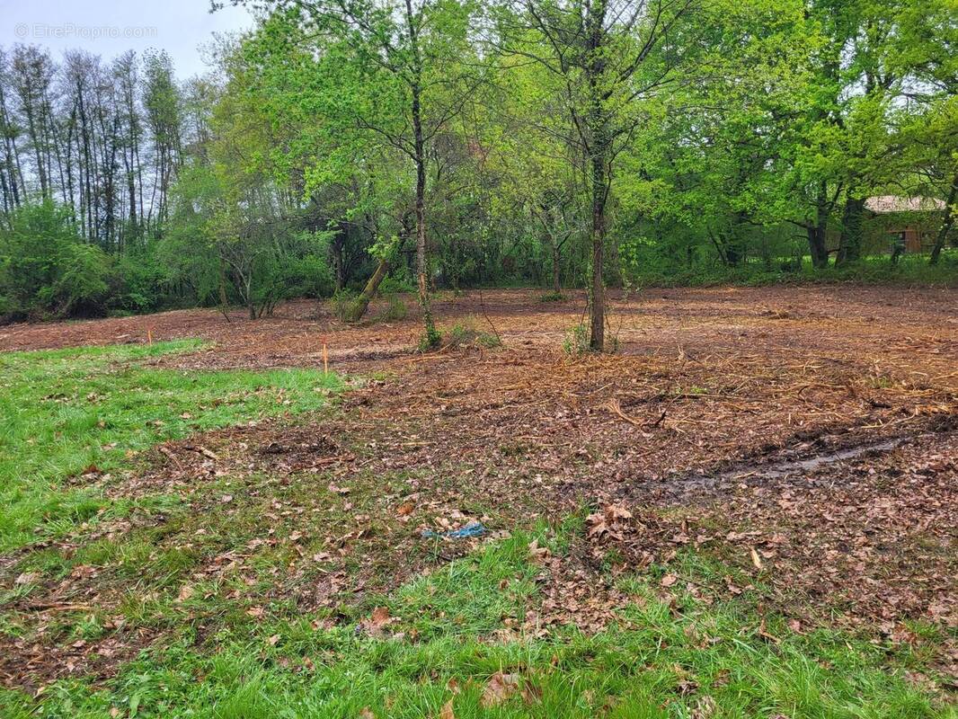 Photo 1 - Terrain à MARTILLAC