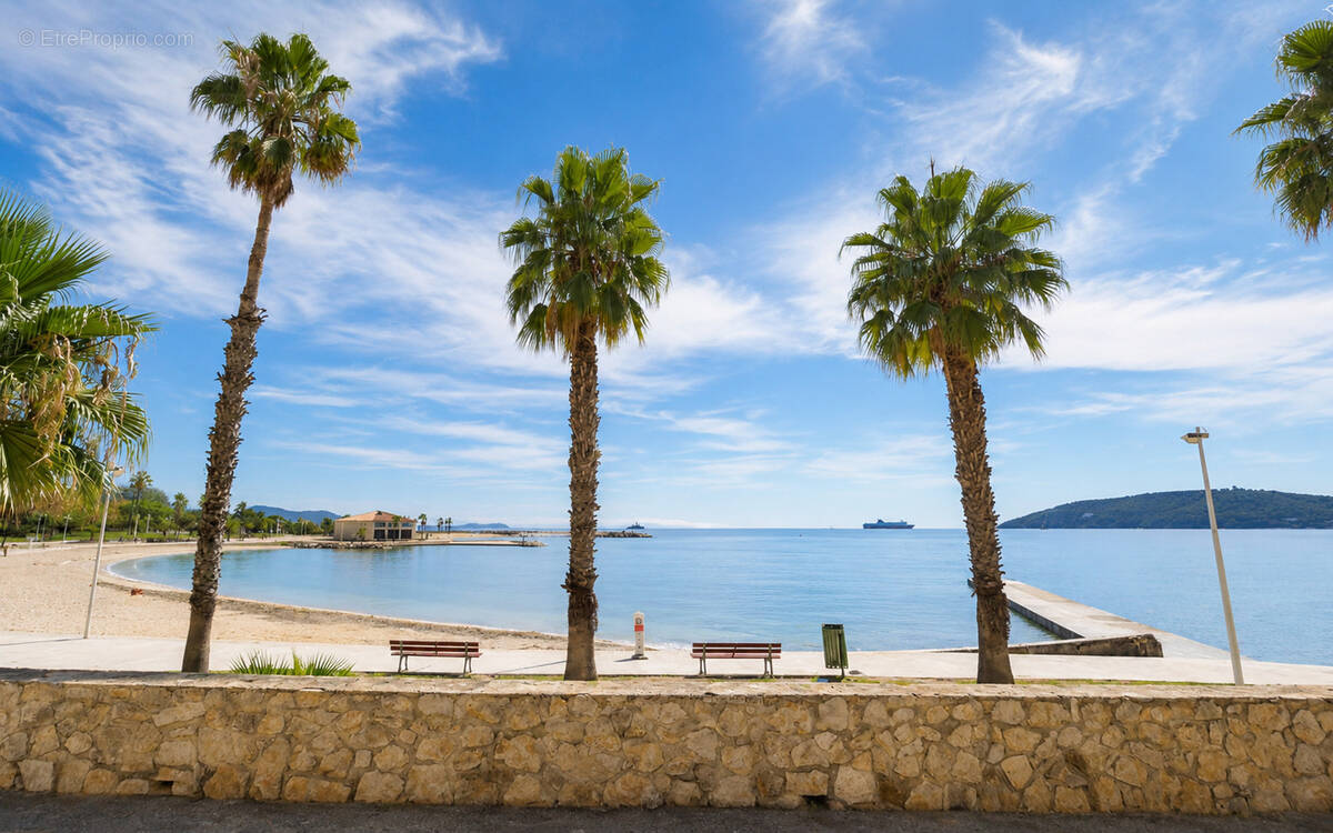 Commerce à TOULON