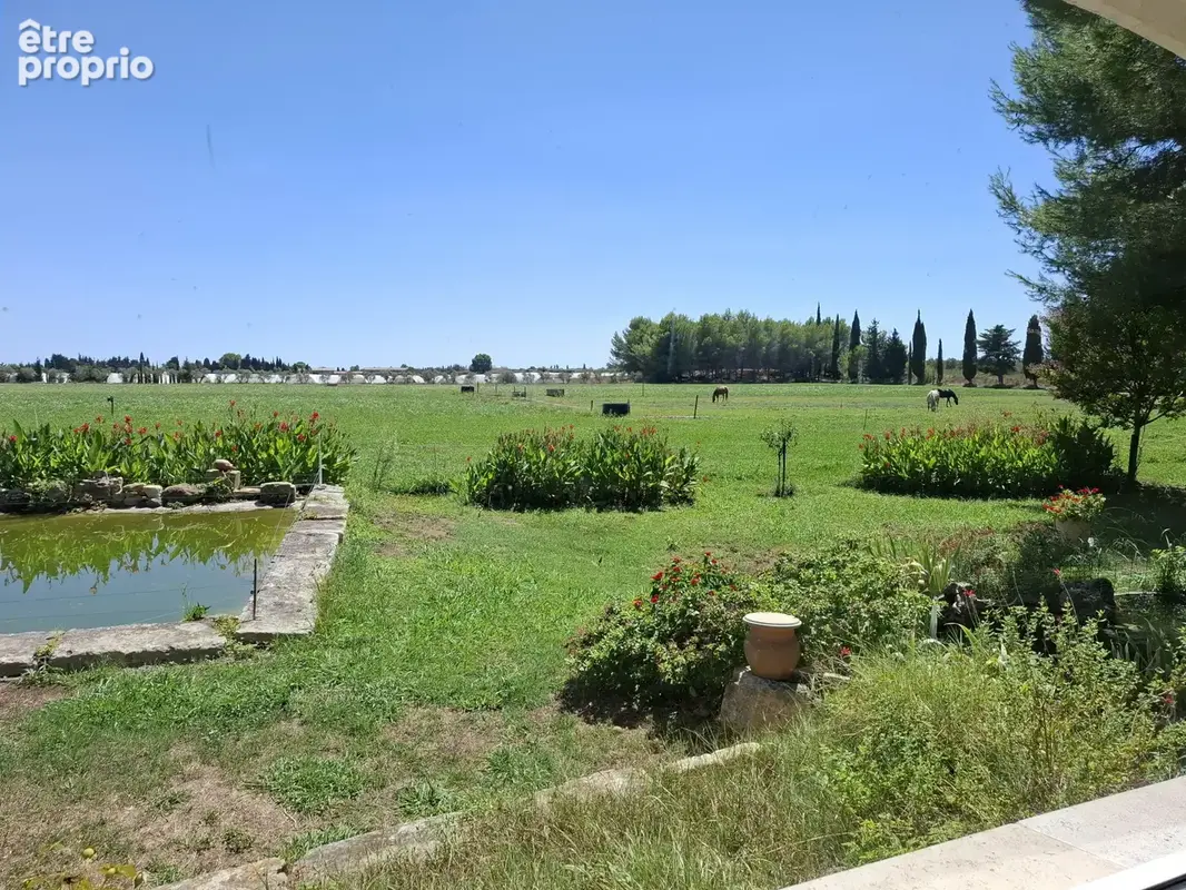 Domaine entre Alpilles et Arles - photo 32