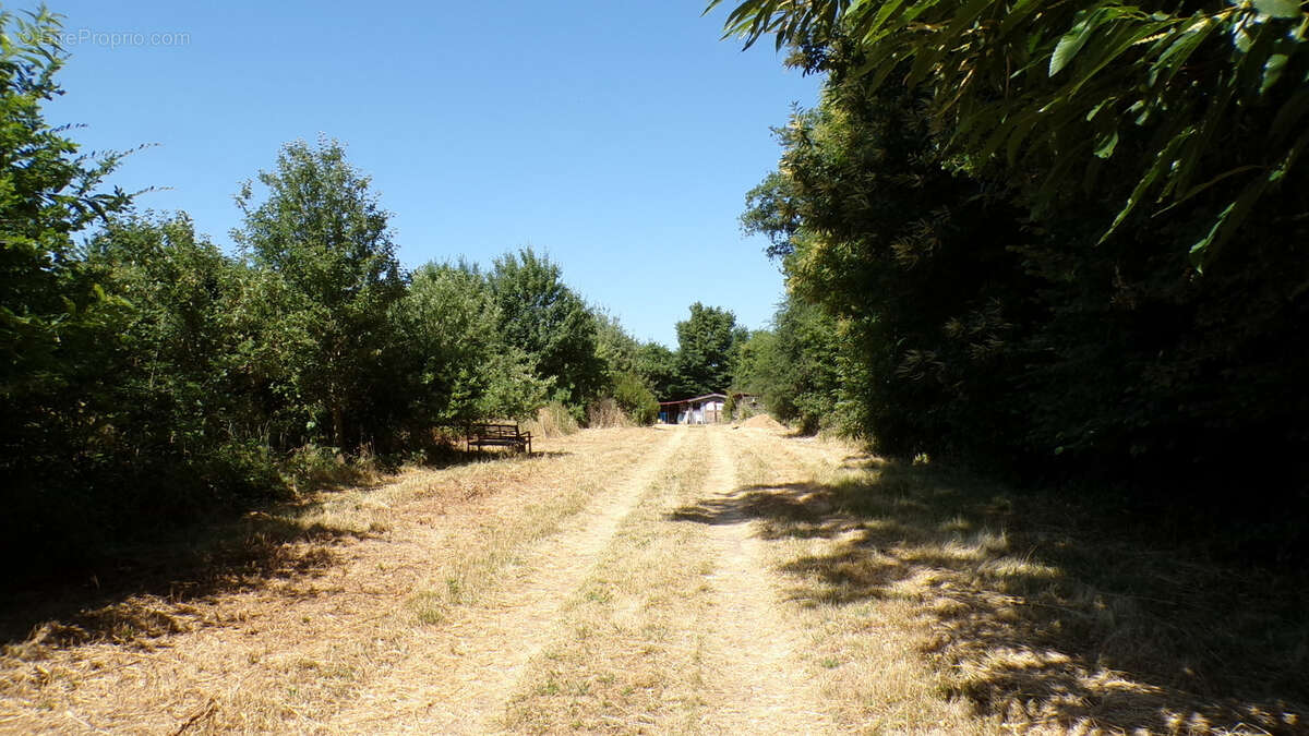 Chalet finlandais en bois à Saint-Saturnin   situé au calme sur plus d'un hectare avec une forêt nourricière - photo 14