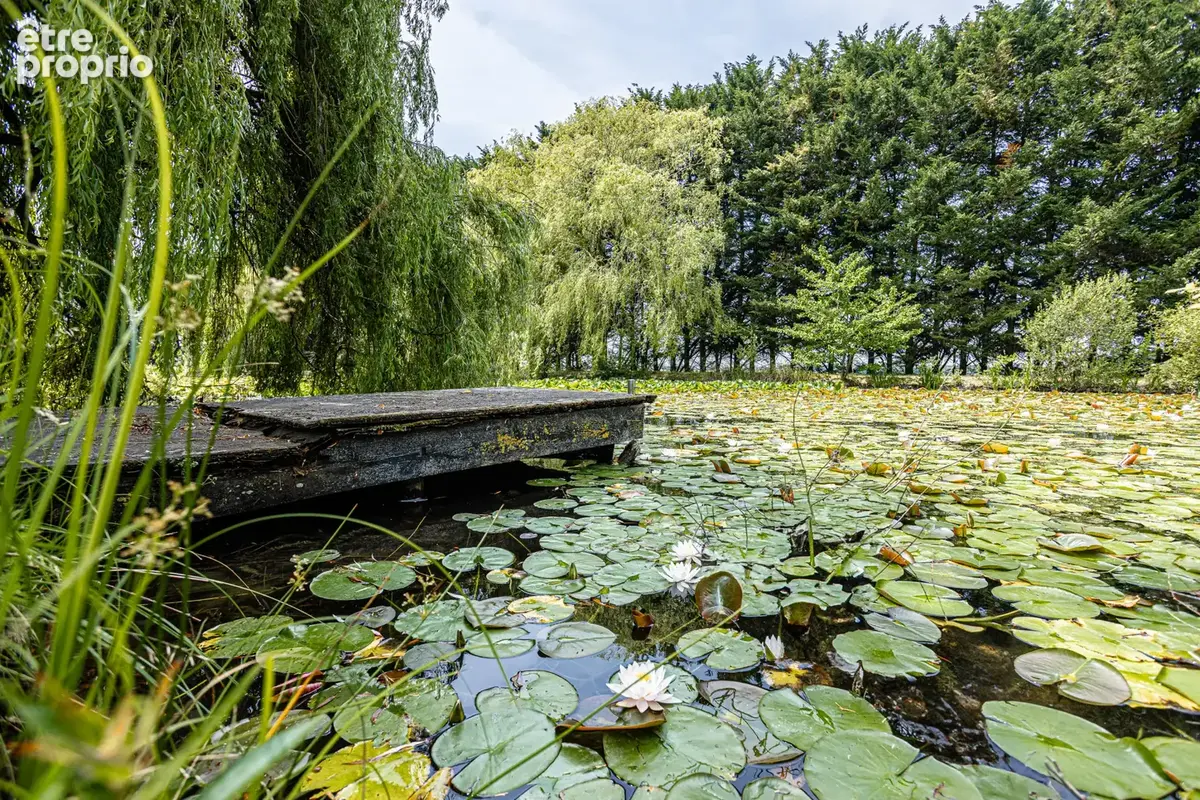 Superbe propriété avec piscine intérieure au coeur d'un parc de 3 hectares avec étang - photo 7
