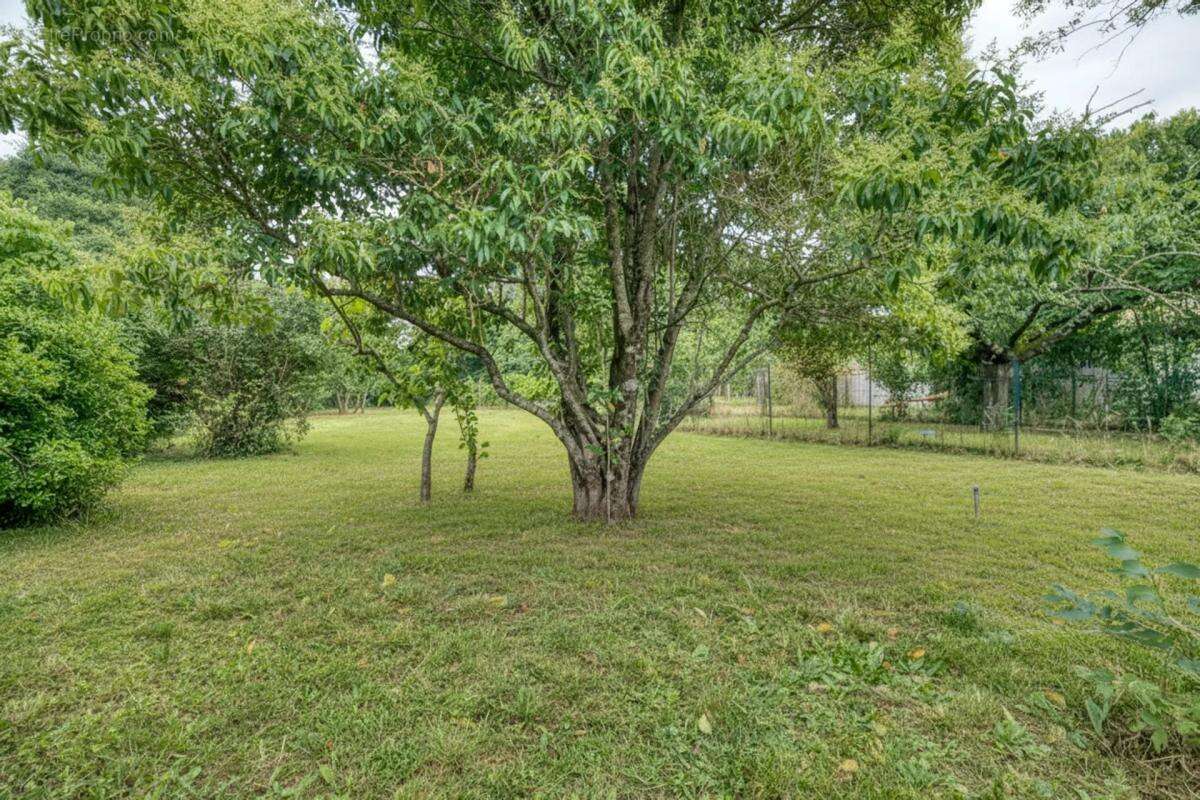 Maison de 3 pièces de 80m² à Toulouse - photo 15
