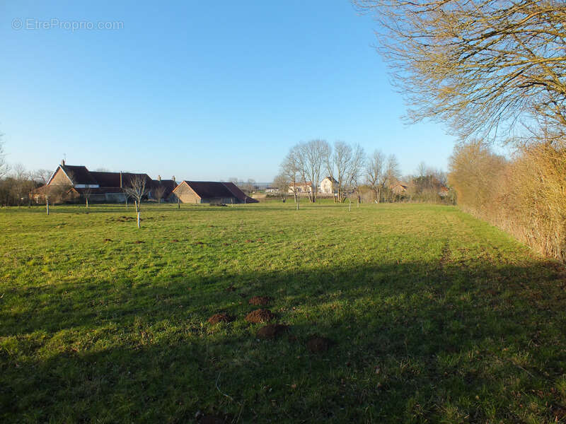 Dpt Côte d'Or (21), à vendre MUSIGNY terrain - Terrain de 5 990,00 m² - photo 4