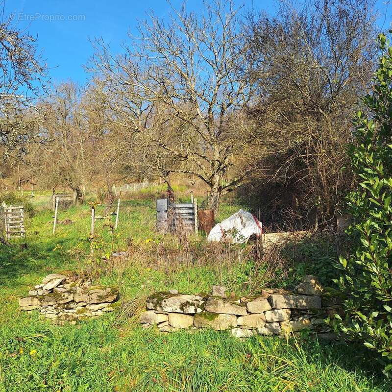 Photo 9 - Maison à SAINT-SERNIN-DU-BOIS