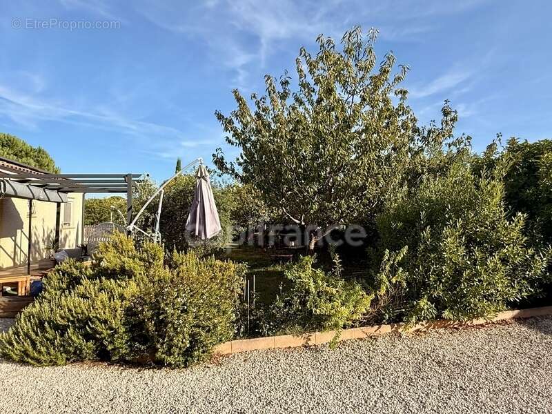 Maison à CARCASSONNE