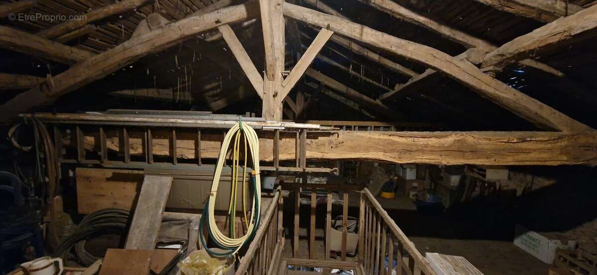 Maison de caractère avec grande grange/garage et plus de 1600m2 de terrain attenant - photo 48