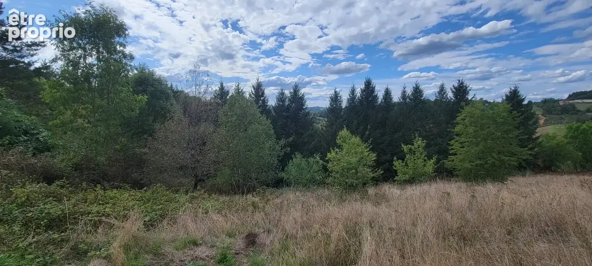Terrain à bâtir avec très jolie vue - photo 5