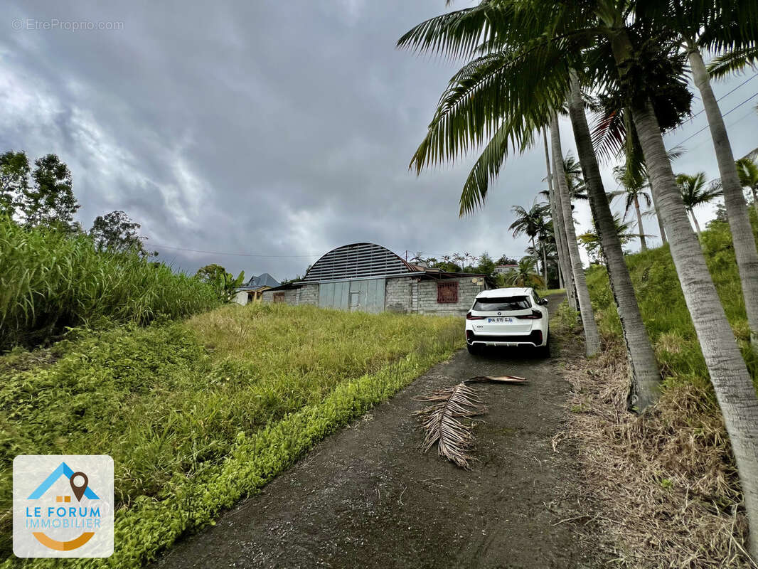 Terrain à LE TAMPON