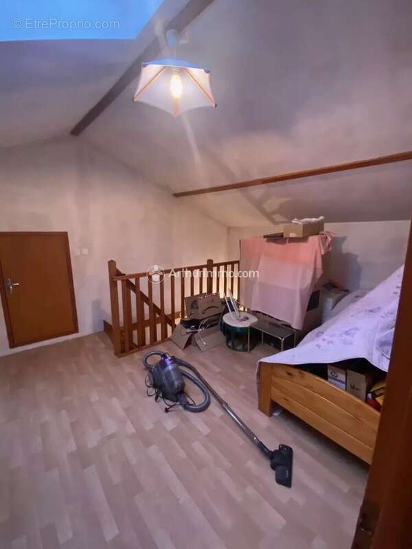 Maison à LOIRE-SUR-NIE