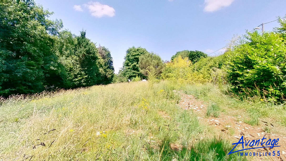Terrain à BAR-LE-DUC