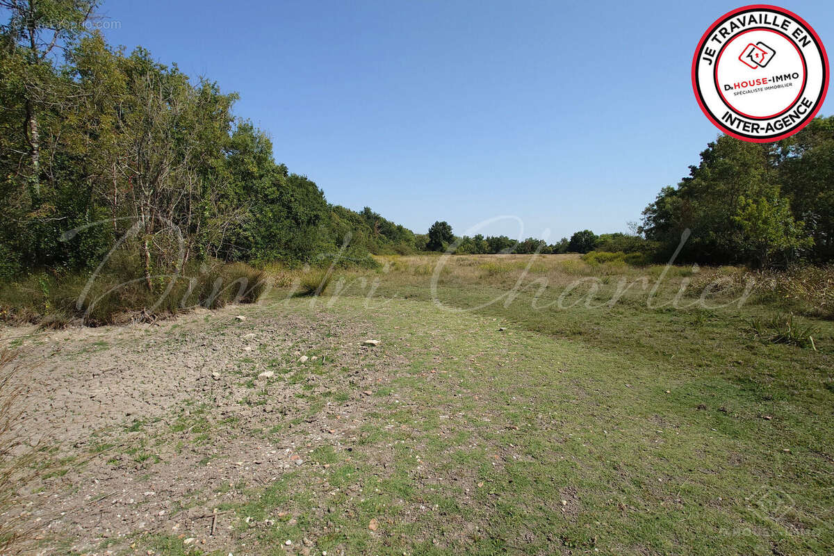Terrain à SAINT-VIVIEN-DE-MEDOC