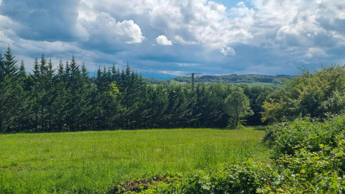 PRAIRIE - Maison à SAINT-JULIEN-DE-BRIOLA