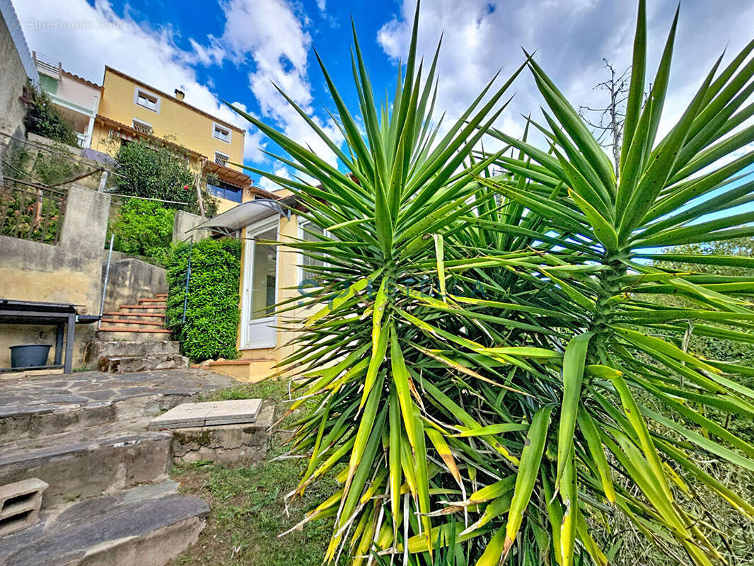 Maison à SARROLA-CARCOPINO