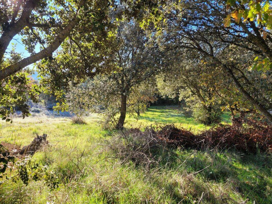 Terrain à VINON-SUR-VERDON