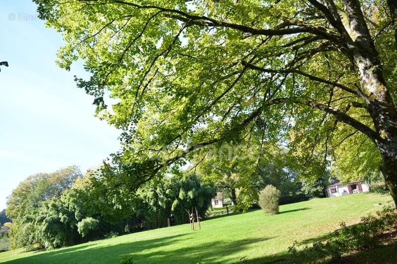 Maison à SAINT-SAULGE