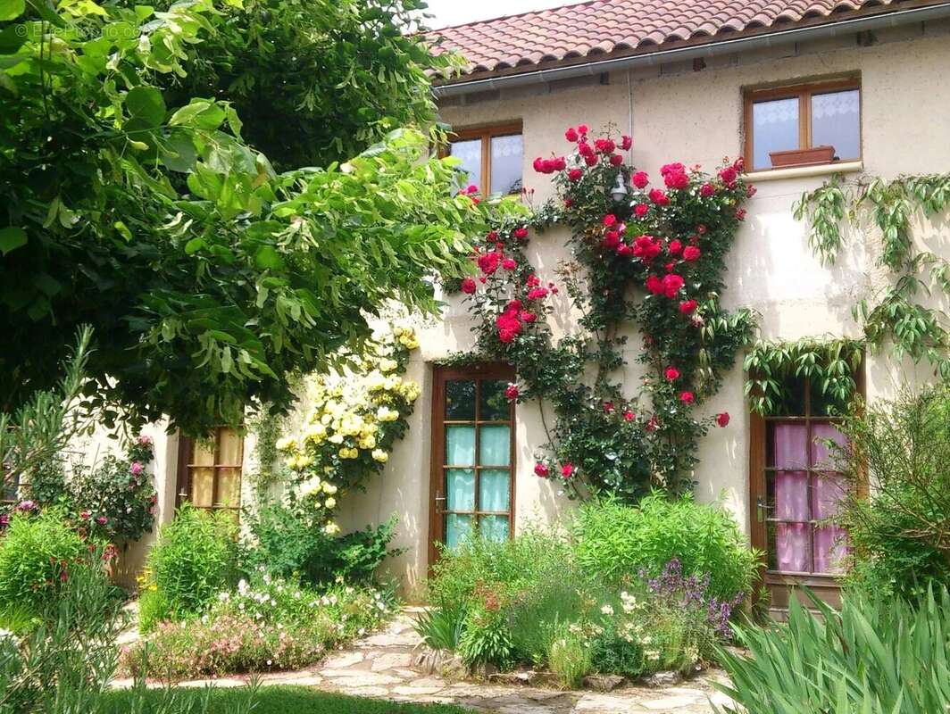Secteur Saint-Cirq-Lapopie : Charmante maison de 4 chambres avec 2 gîtes, 1,5 ha de petite exploitation biologique certifiée et  - photo 20