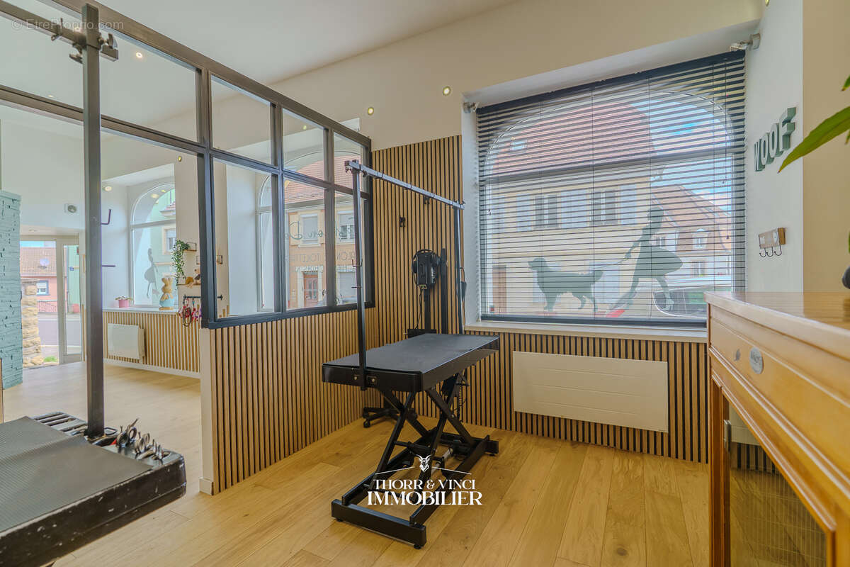 Local Professionnel- 55 m2 - Altkirch - photo 15