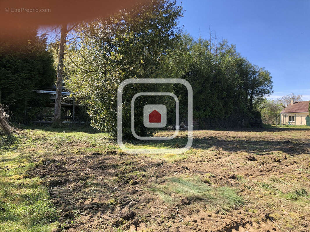 Terrain à CORMICY