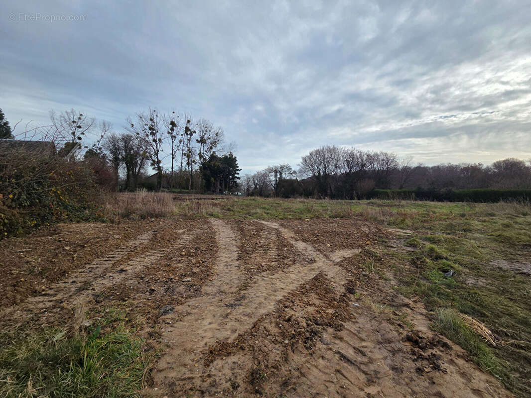 Terrain à LE LANDIN