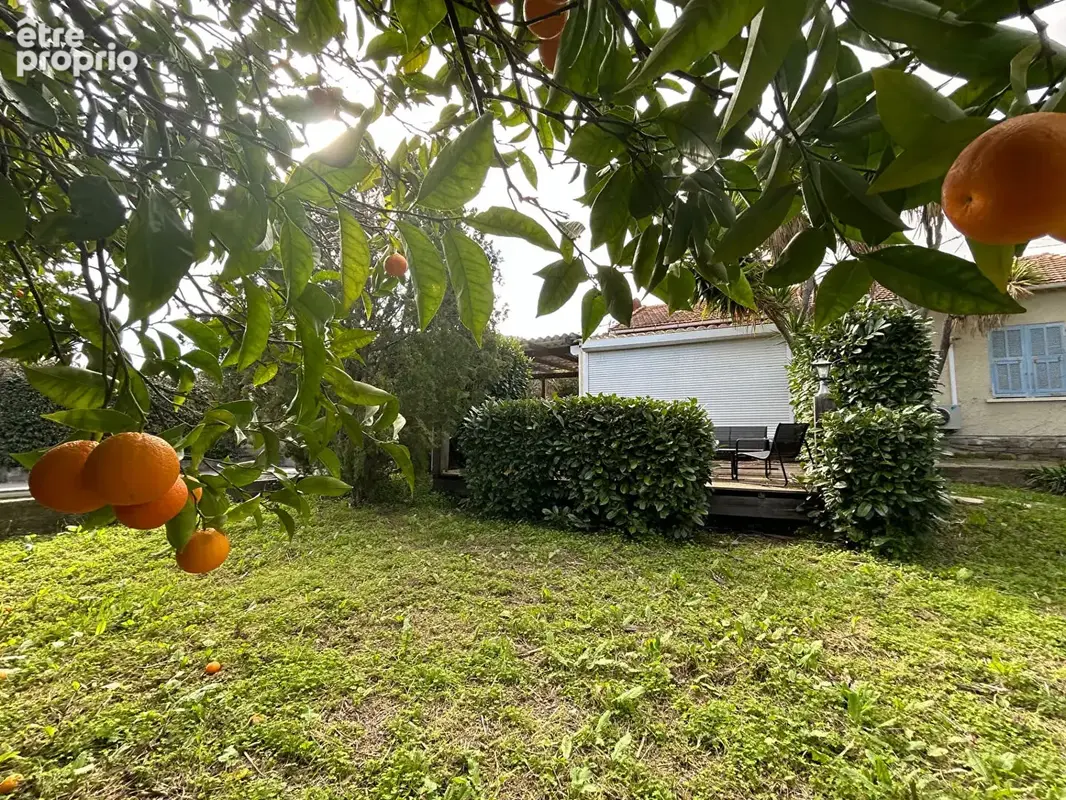 Maison 210m² à borgo - photo 3