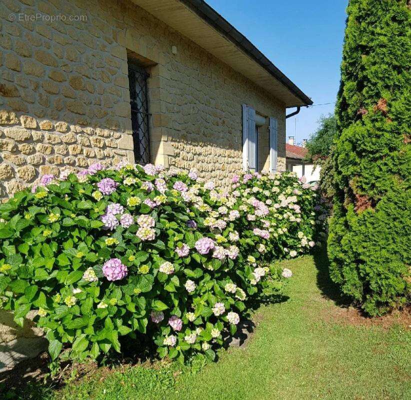 Maison à PORT-SAINTE-FOY-ET-PONCHAPT