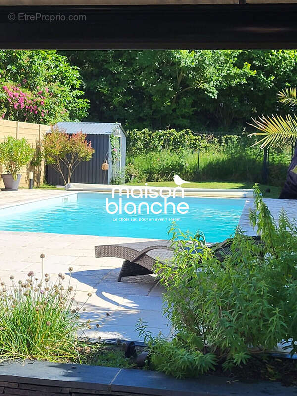 Maison à PELLOUAILLES-LES-VIGNES