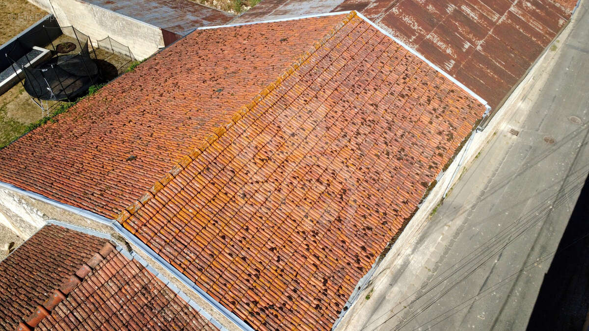 Hangar / Terrain sur parcelle de 632 m2 - photo 8