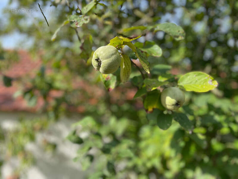 Maison à SAINT-GERVAIS