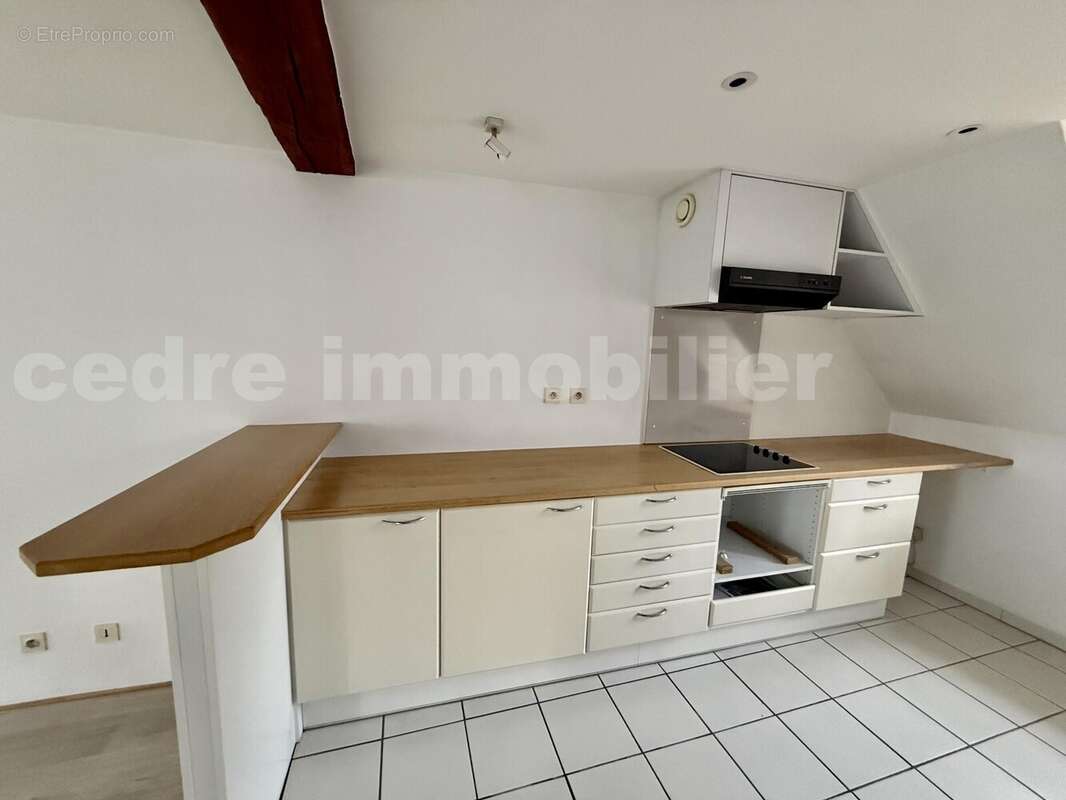 IMG_3505 - Appartement à ORLEANS