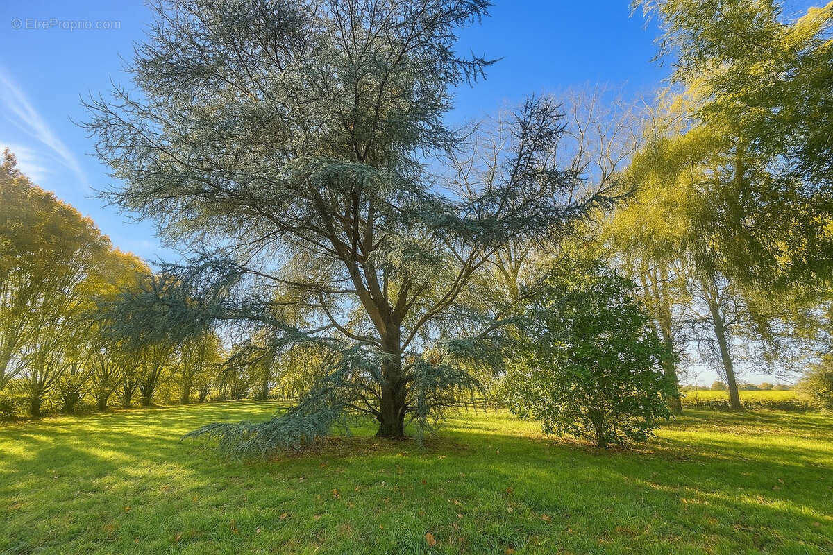Maison à ARTANNES-SUR-INDRE