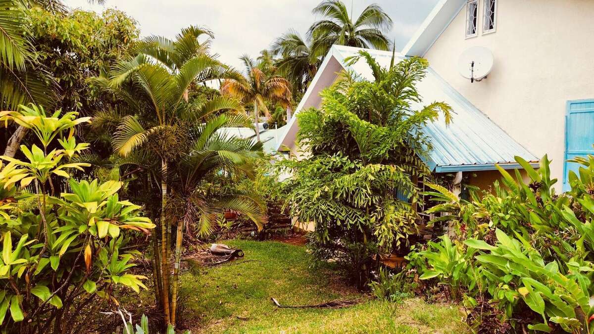 Photo 3 - Maison à SAINT-DENIS