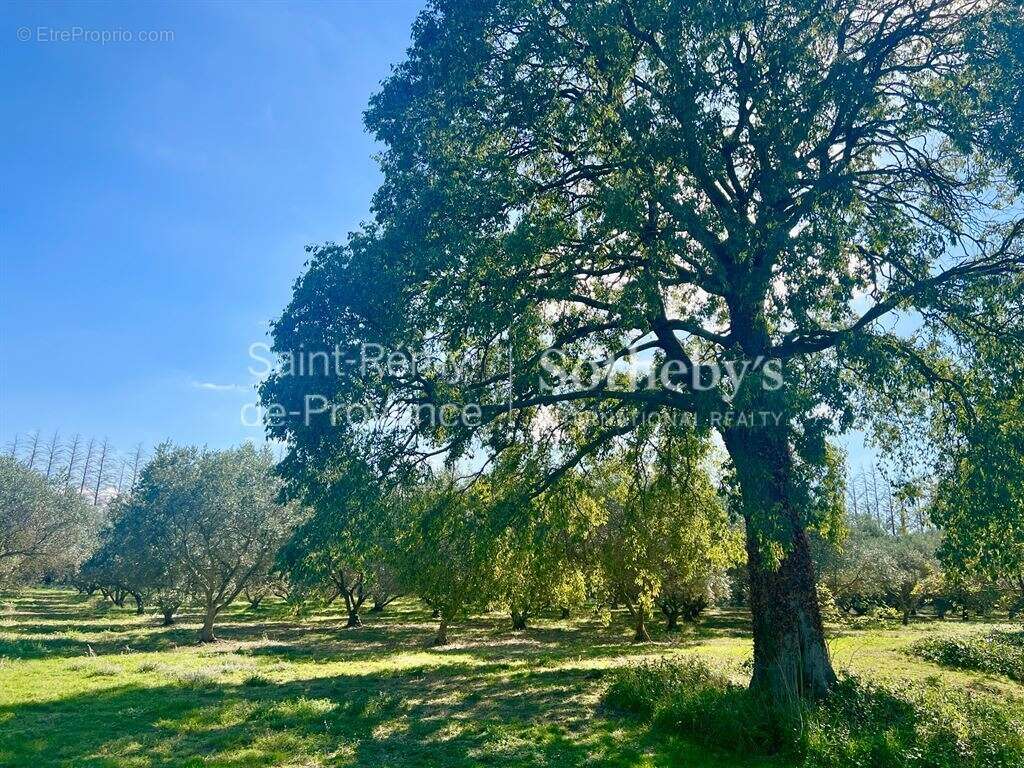Maison à SAINT-REMY-DE-PROVENCE