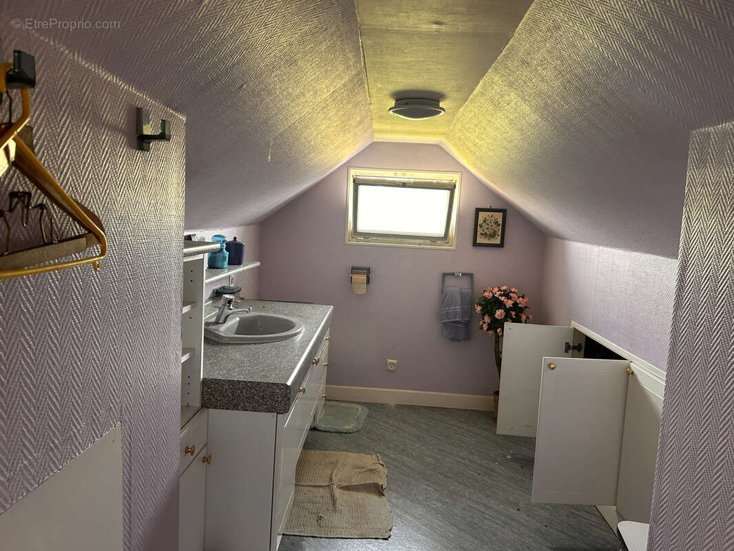 Maison à LE PONT-CHRETIEN-CHABENET