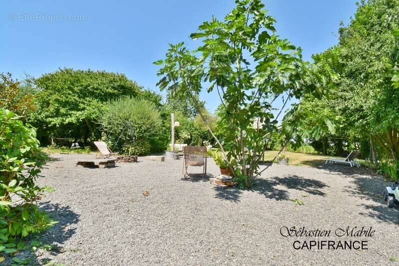 Chambres d'hôtes et gîte à vendre en Bretagne 9 pièces SOUGEAL (35) en Baie du Mont Saint Michel - Terrrain de 2200 M² - photo 33