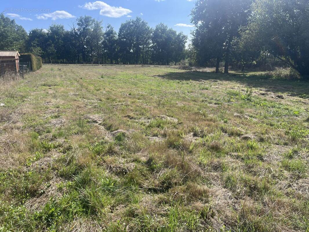 Terrain à SAINT-ANDRE-DE-CUBZAC