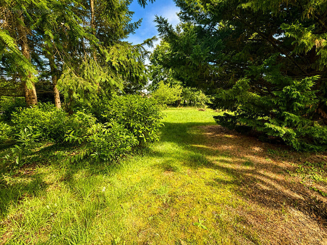 Terrain à LE DESCHAUX