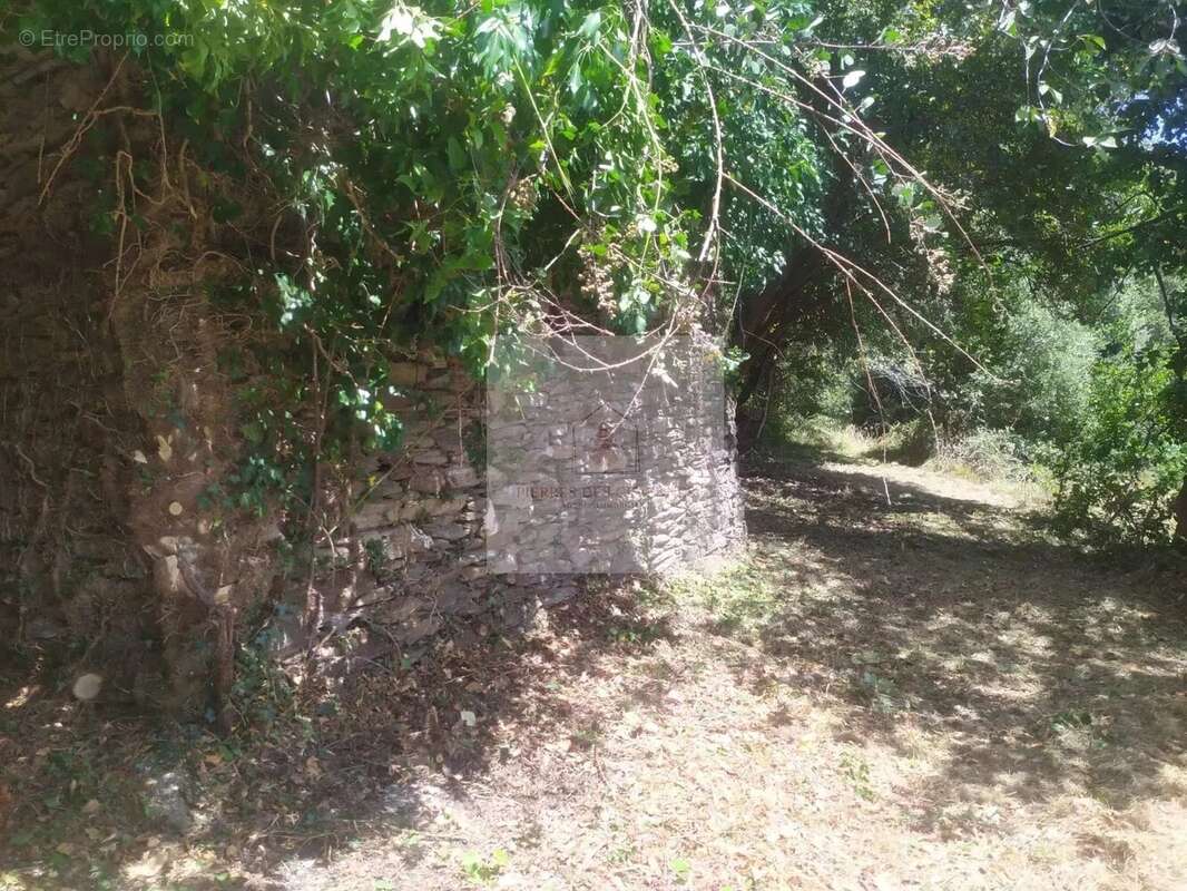 Maison à SAINT-HILAIRE-DE-LAVIT