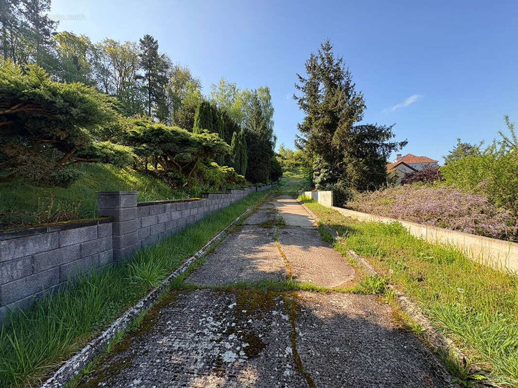 Terrain Saint Avold 3801 m2 - photo 5