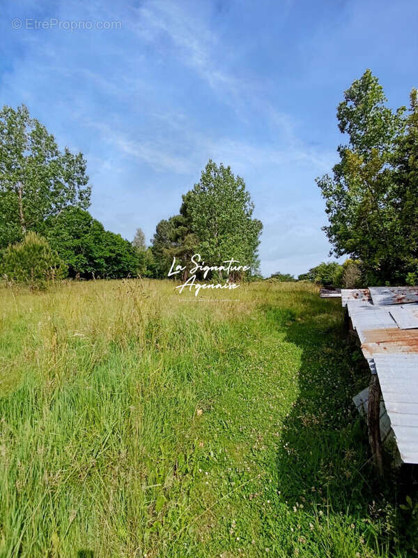 Maison 127 m² à Buzet-Sur-Baise  - photo 6