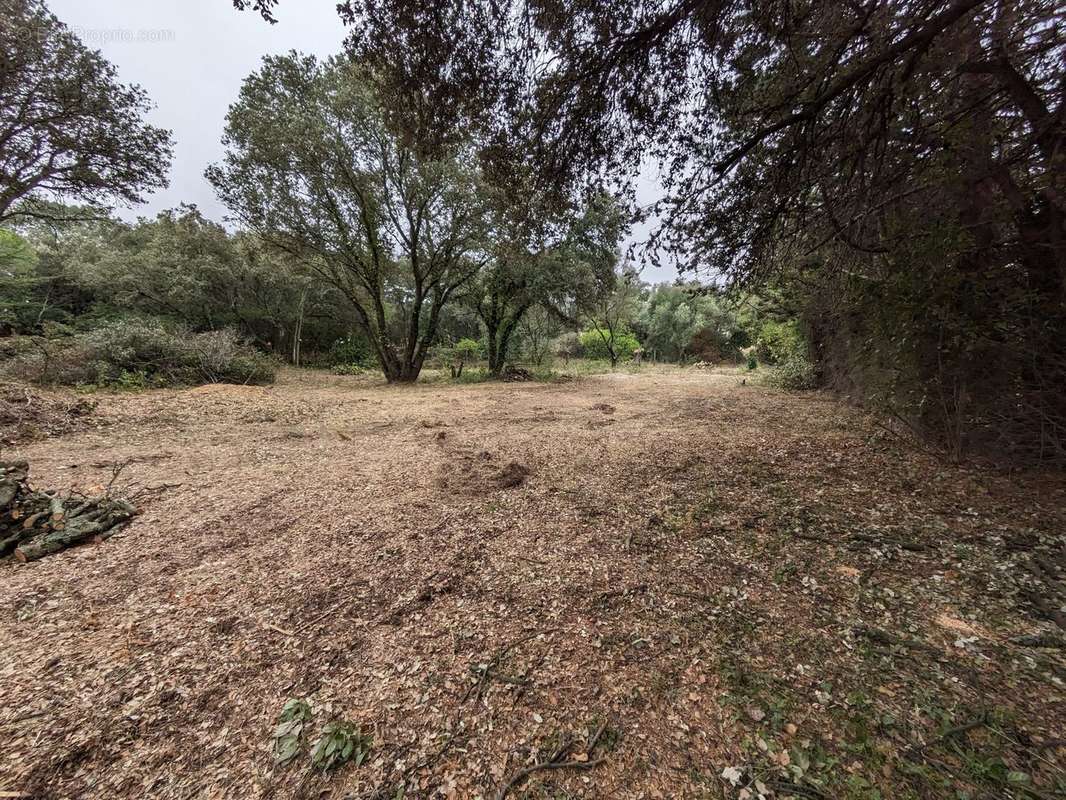 Terrain à VILLEVIEILLE