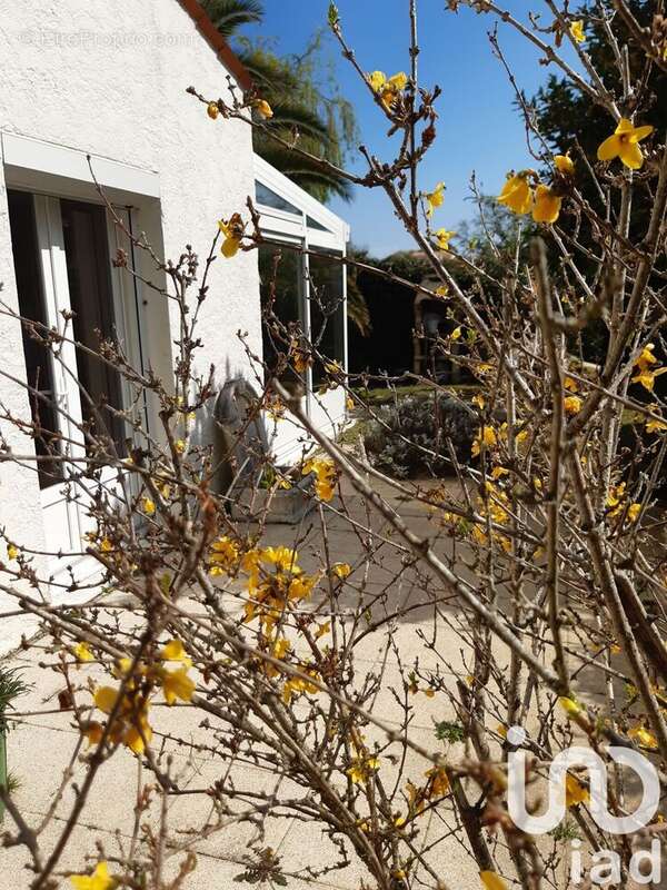 Photo 7 - Maison à LE GRAND-VILLAGE-PLAGE