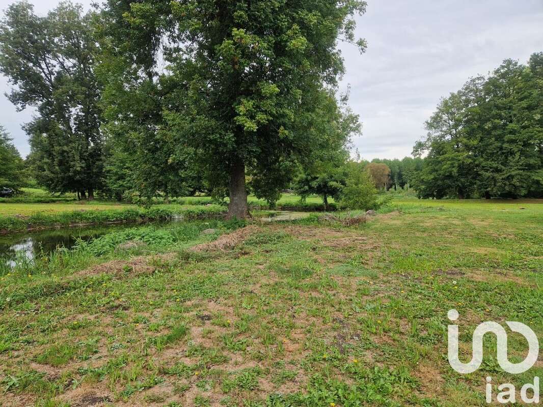 Photo 7 - Terrain à NOYANT