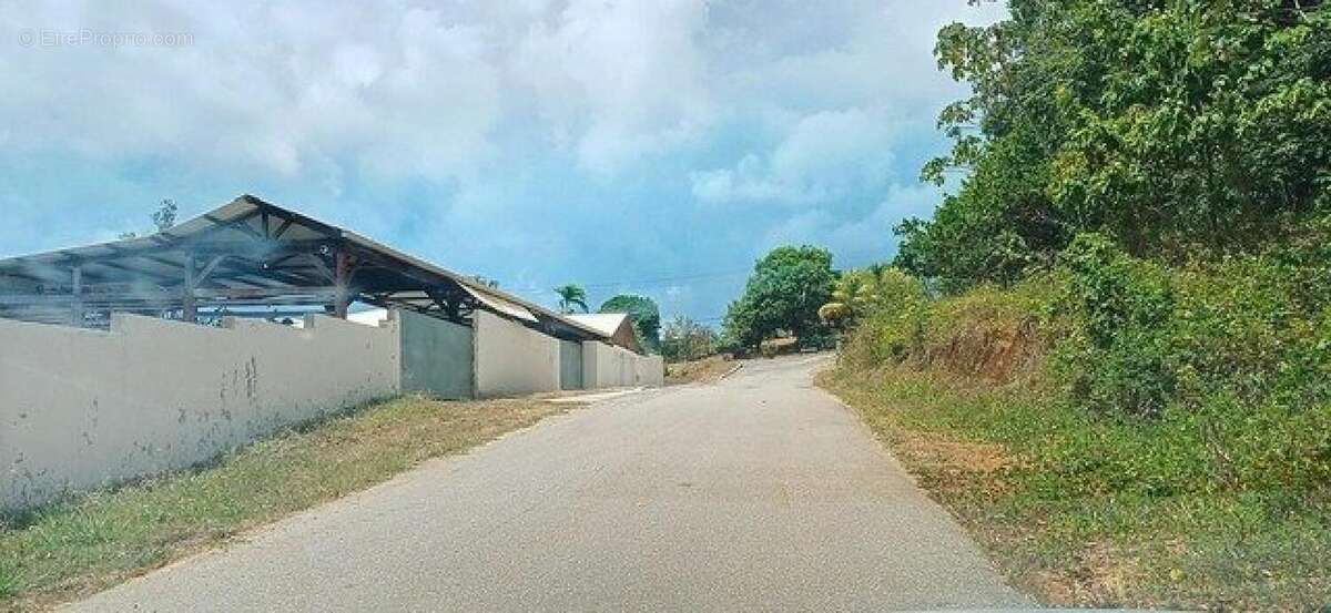 Photo 2 - Terrain à REMIRE-MONTJOLY