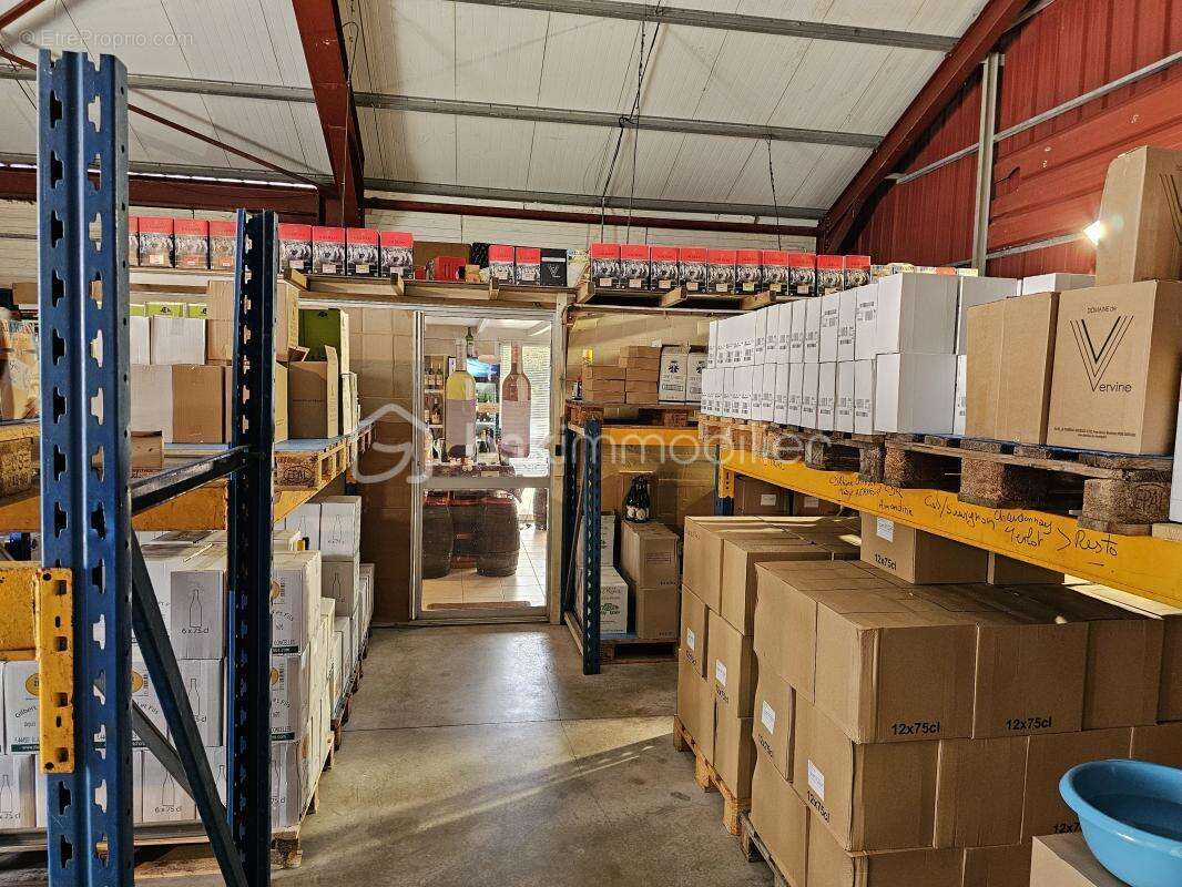 Commerce à SAINT-FRANCOIS