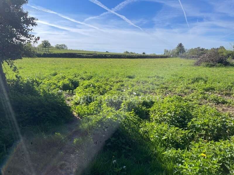 Maison à BERSAC-SUR-RIVALIER