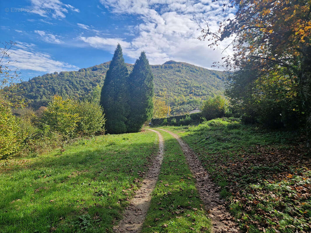 Maison type Chalet au calme et avec 1,3Ha attenant - photo 18